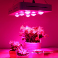 1800W Grow light for herbs hydroponic